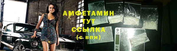 сатива Бронницы