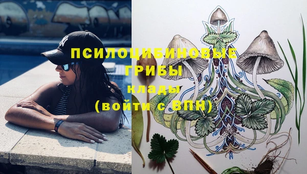 молекула духа Бугульма