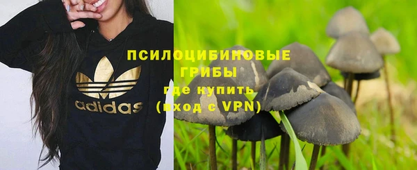 амфетамин Богданович