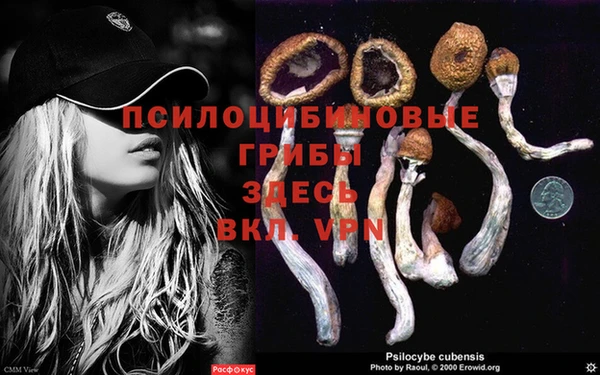 сатива Бронницы