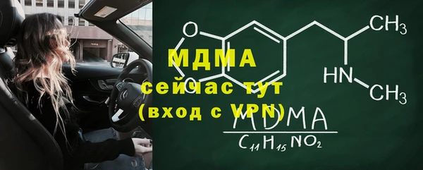 дживик Бородино