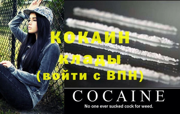 сатива Бронницы