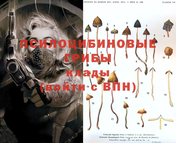 молекула духа Бугульма