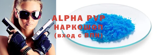 дживик Бородино