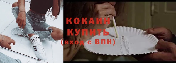 сатива Бронницы