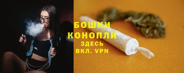 сатива Бронницы