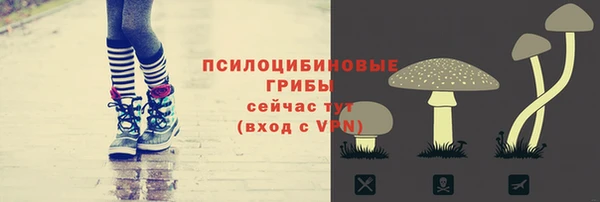 молекула духа Бугульма