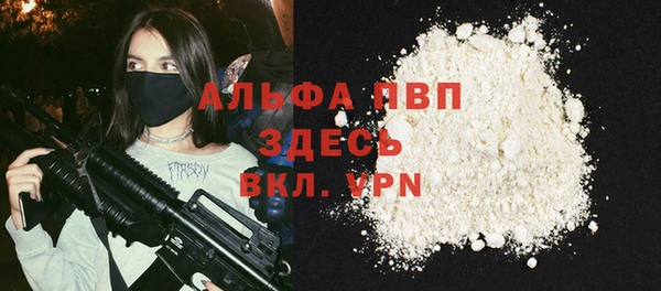 дживик Бородино