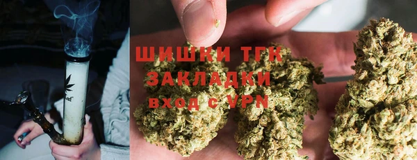 молекула духа Бугульма