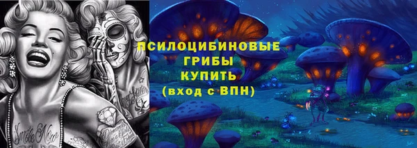 молекула духа Бугульма