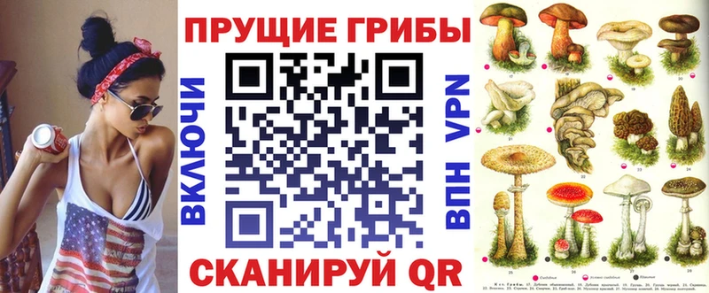 Галлюциногенные грибы MAGIC MUSHROOMS  купить закладку  Короча 